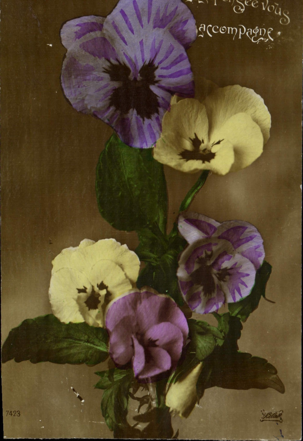 Flores de la fantasía de la POSTAL de la VENDIMIA