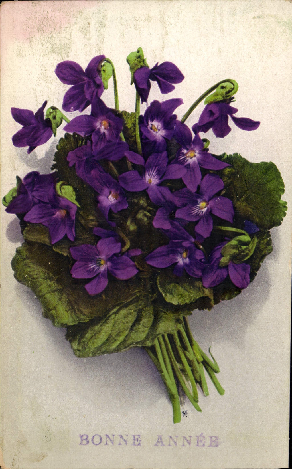 Flores de la fantasía de la POSTAL de la VENDIMIA