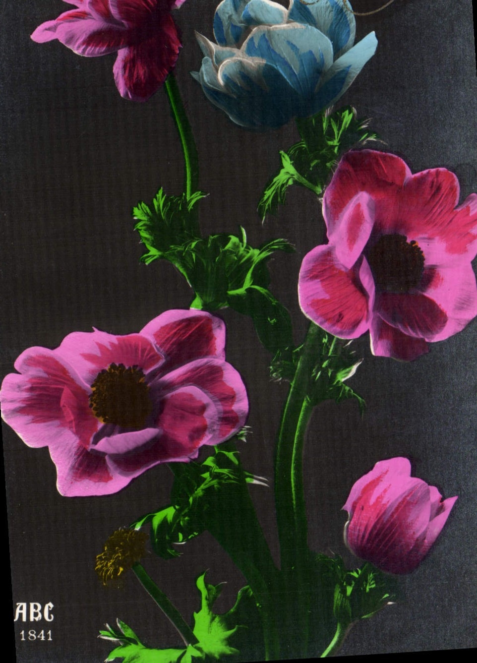 Flores de la fantasía de la POSTAL de la VENDIMIA