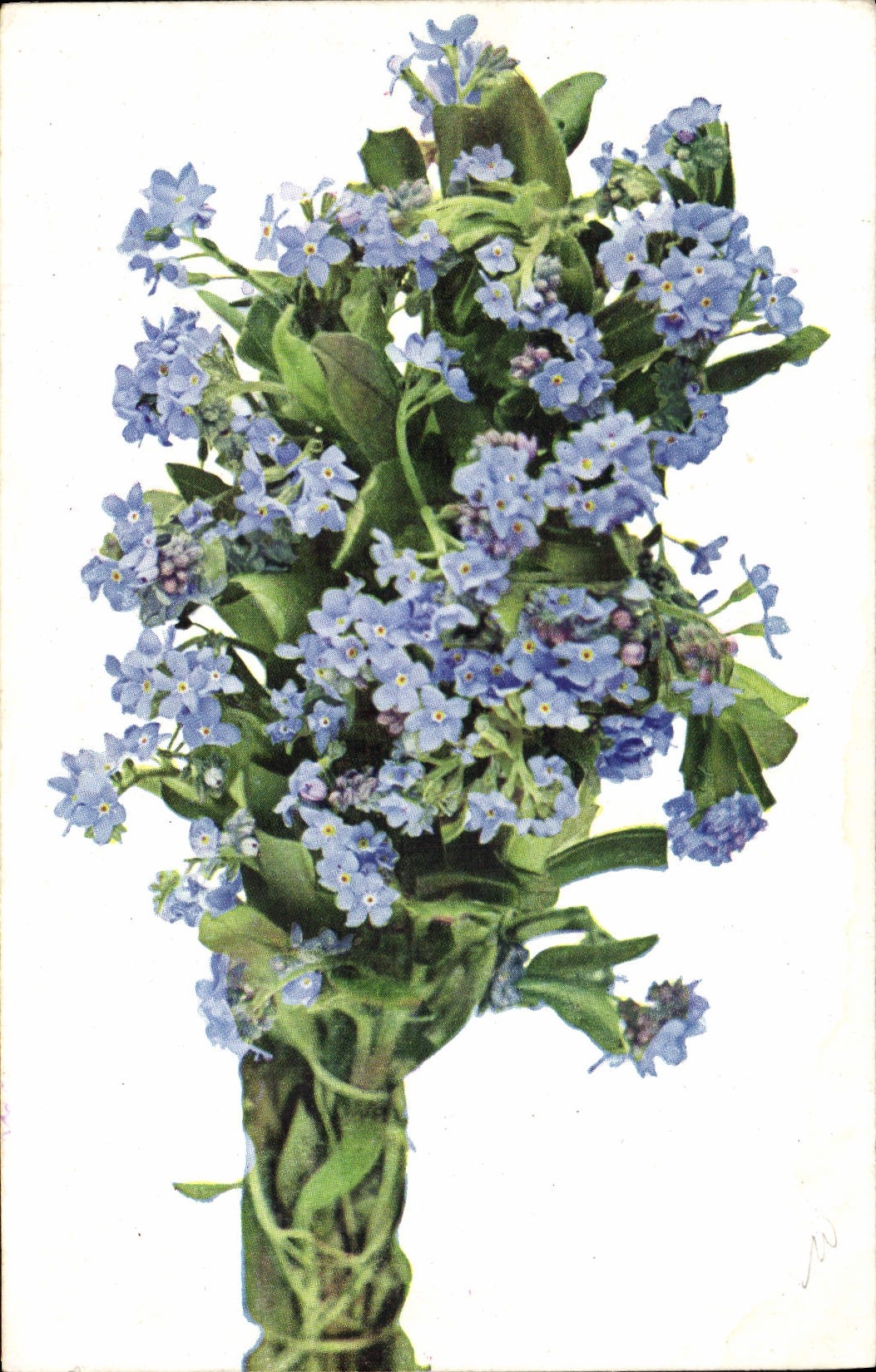 Flores de la fantasía de la POSTAL de la VENDIMIA