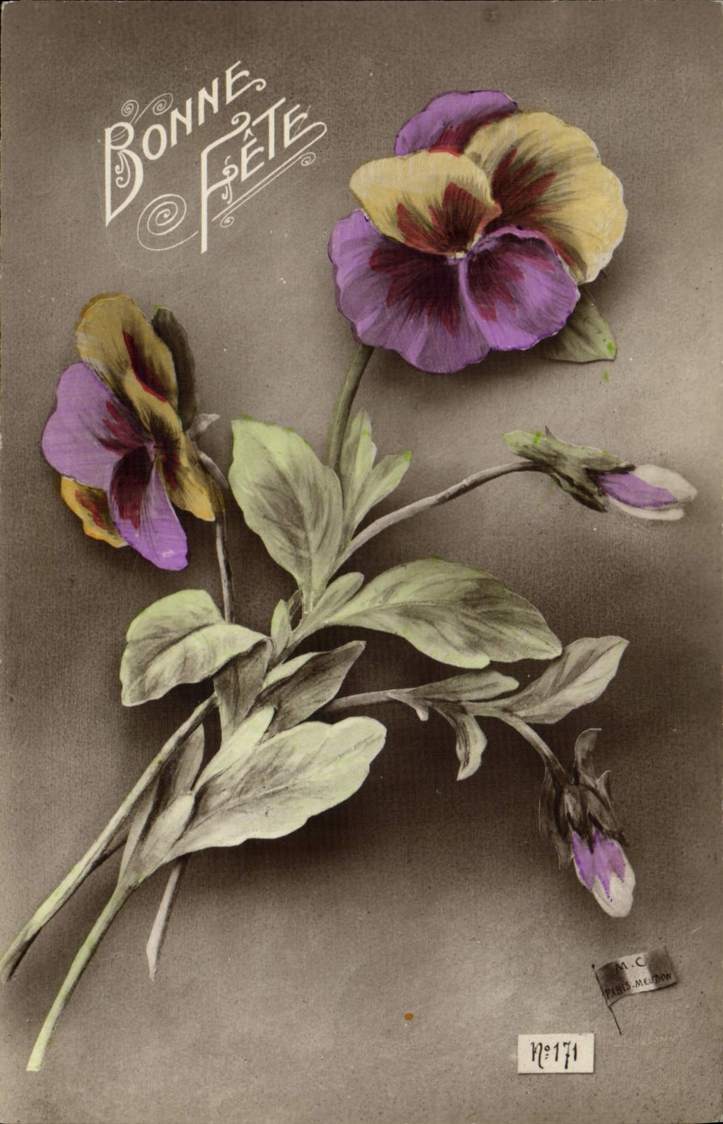 Flores de la fantasía de la POSTAL de la VENDIMIA