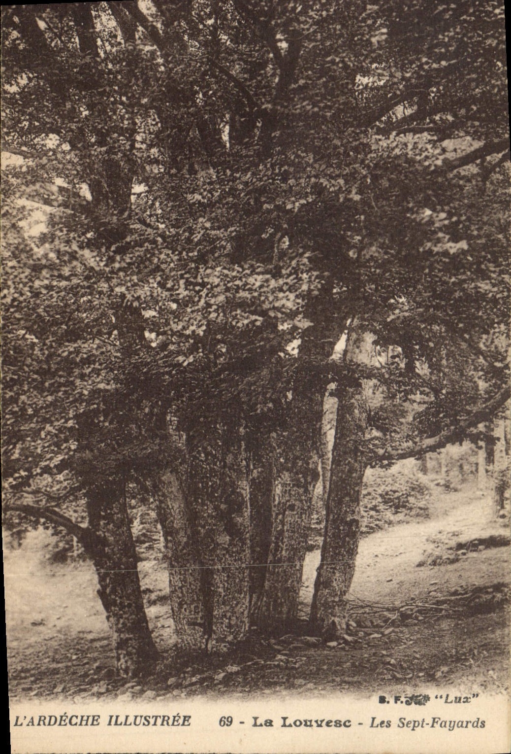 VINTAGE POSTCARD Louvesc Seven Beeches