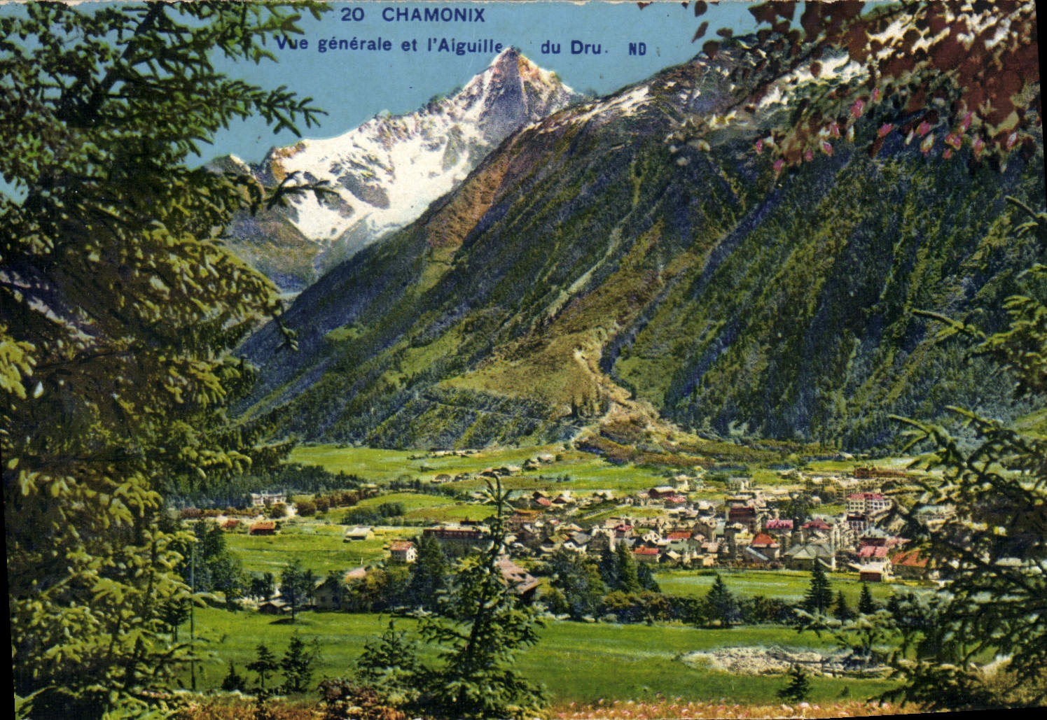 CPA Chamonix Vue Generale et l'Aiguille du Dru