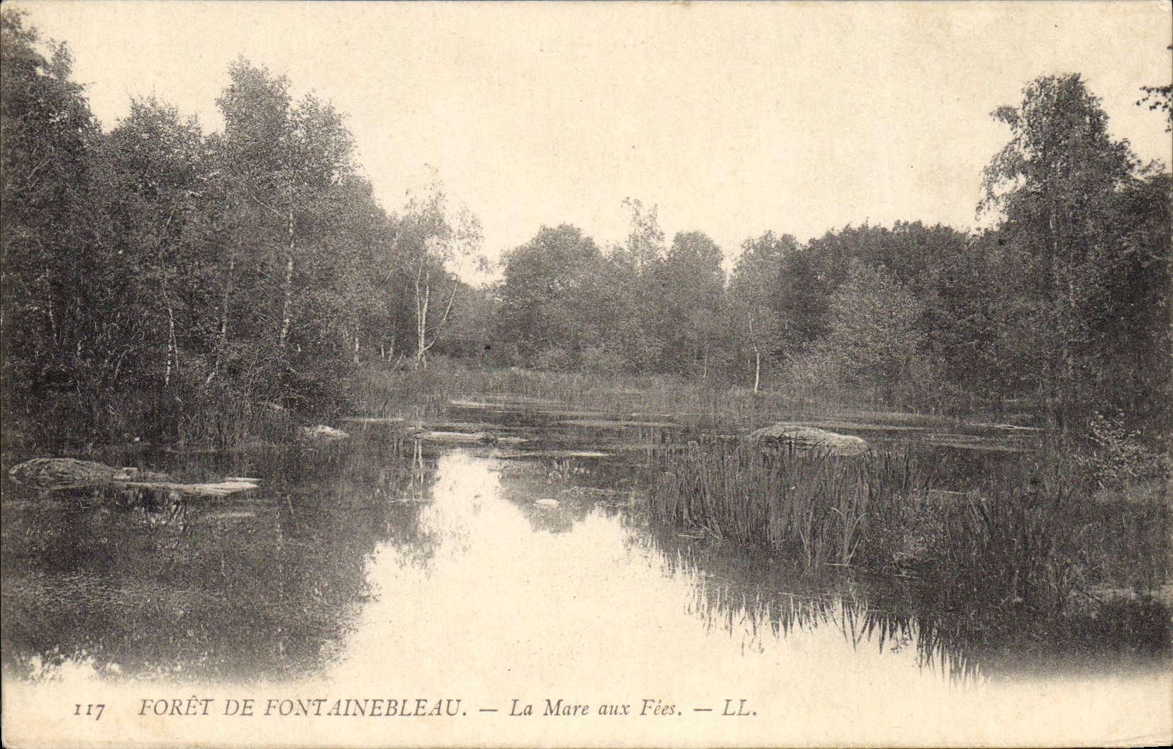 VINTAGE POSTCARD Drill of Fontainebleau the pond to the fairies