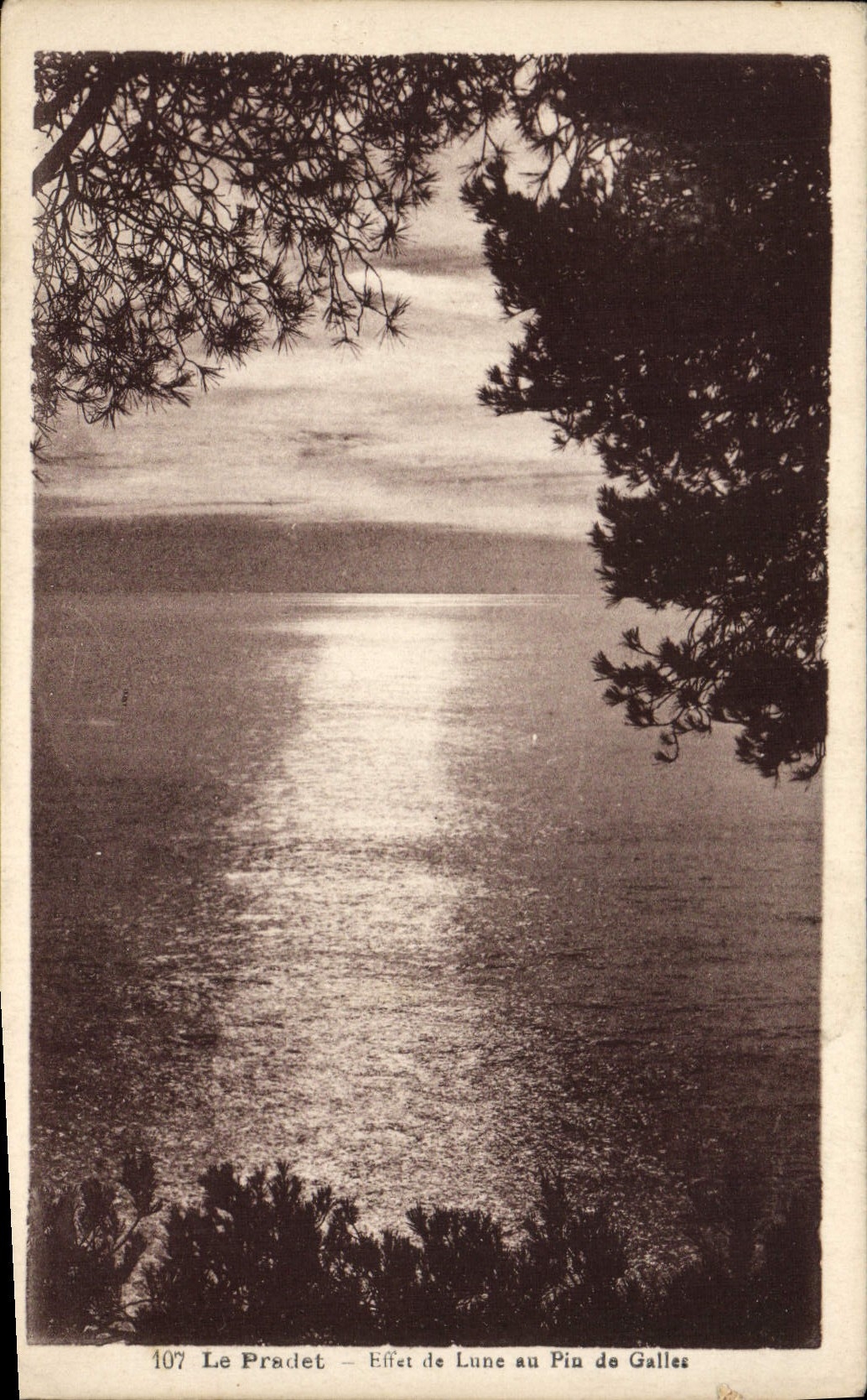 VINTAGE POSTCARD Pradet Effect the Moon to the Pine of Wales