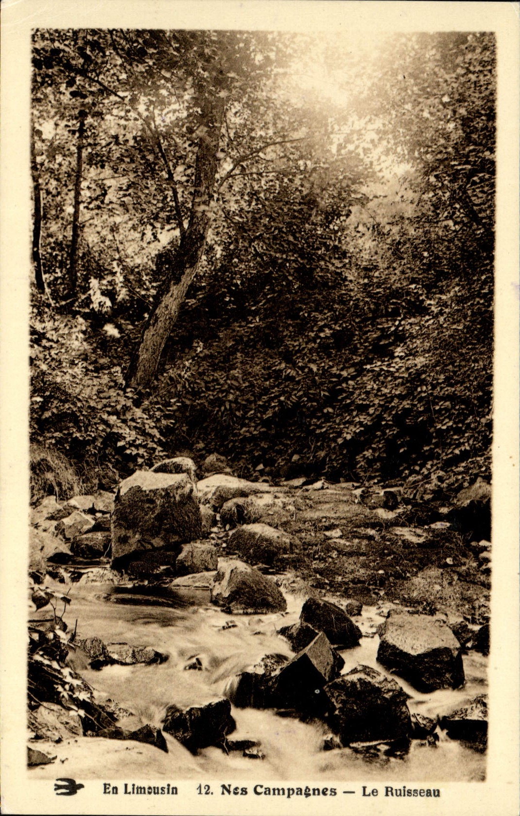 VINTAGE POSTCARD In the Limousin Our Campaigns the Brook