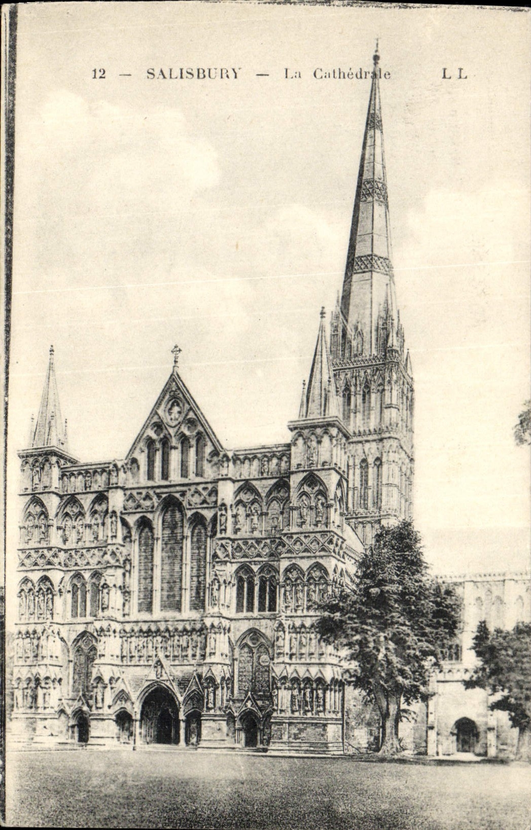 VINTAGE POSTCARD Salisbury the Cathedral
