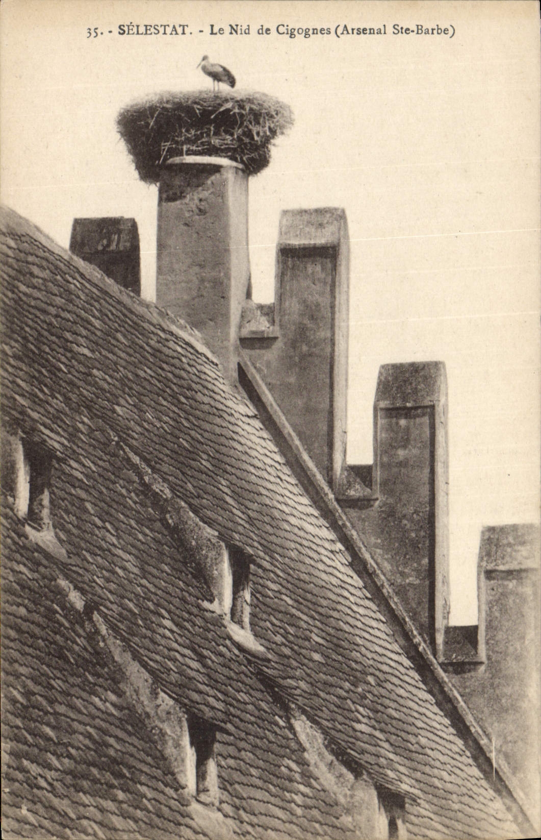 VINTAGE POSTCARD Selestat the Nest of Storks Arsenal co. Beard