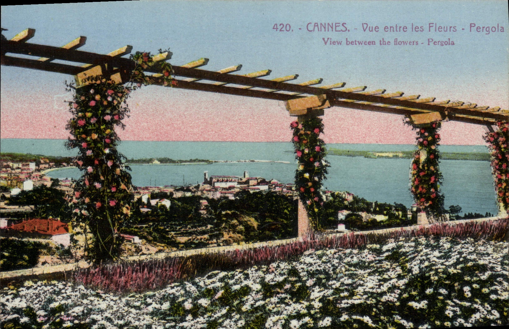CPA Cannes Vue entre les fleurs Pergola