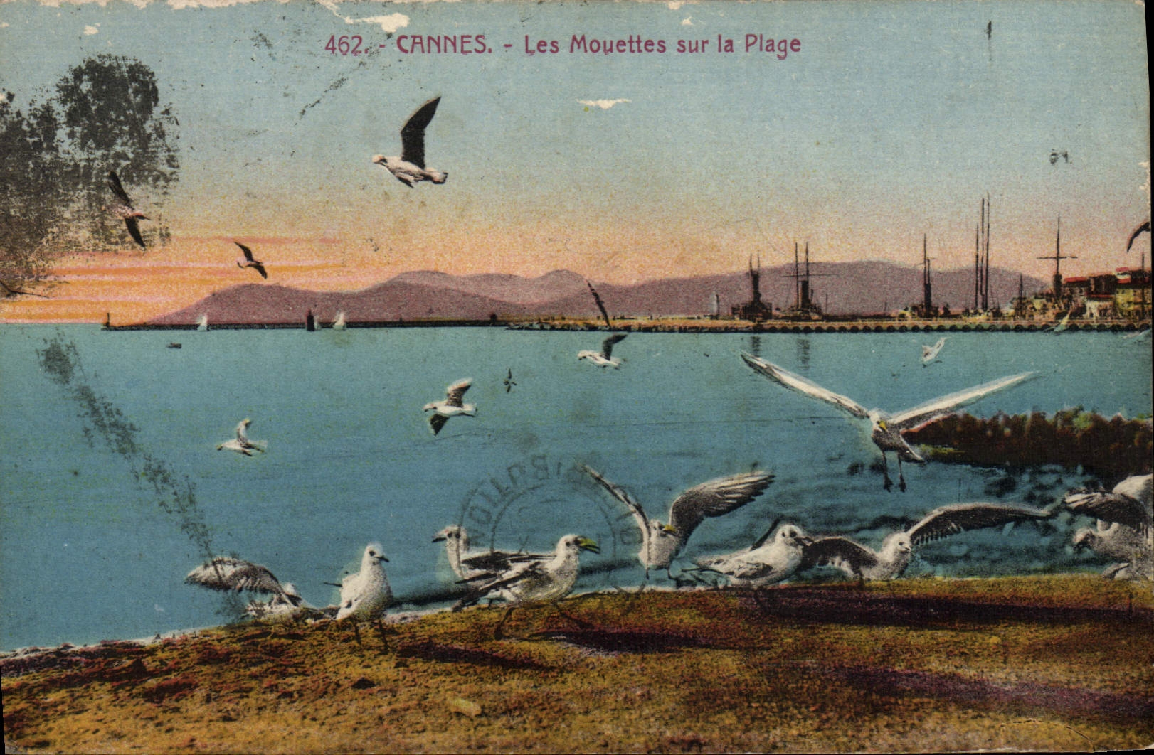 VINTAGE POSTCARD Cannes gulls on the beach
