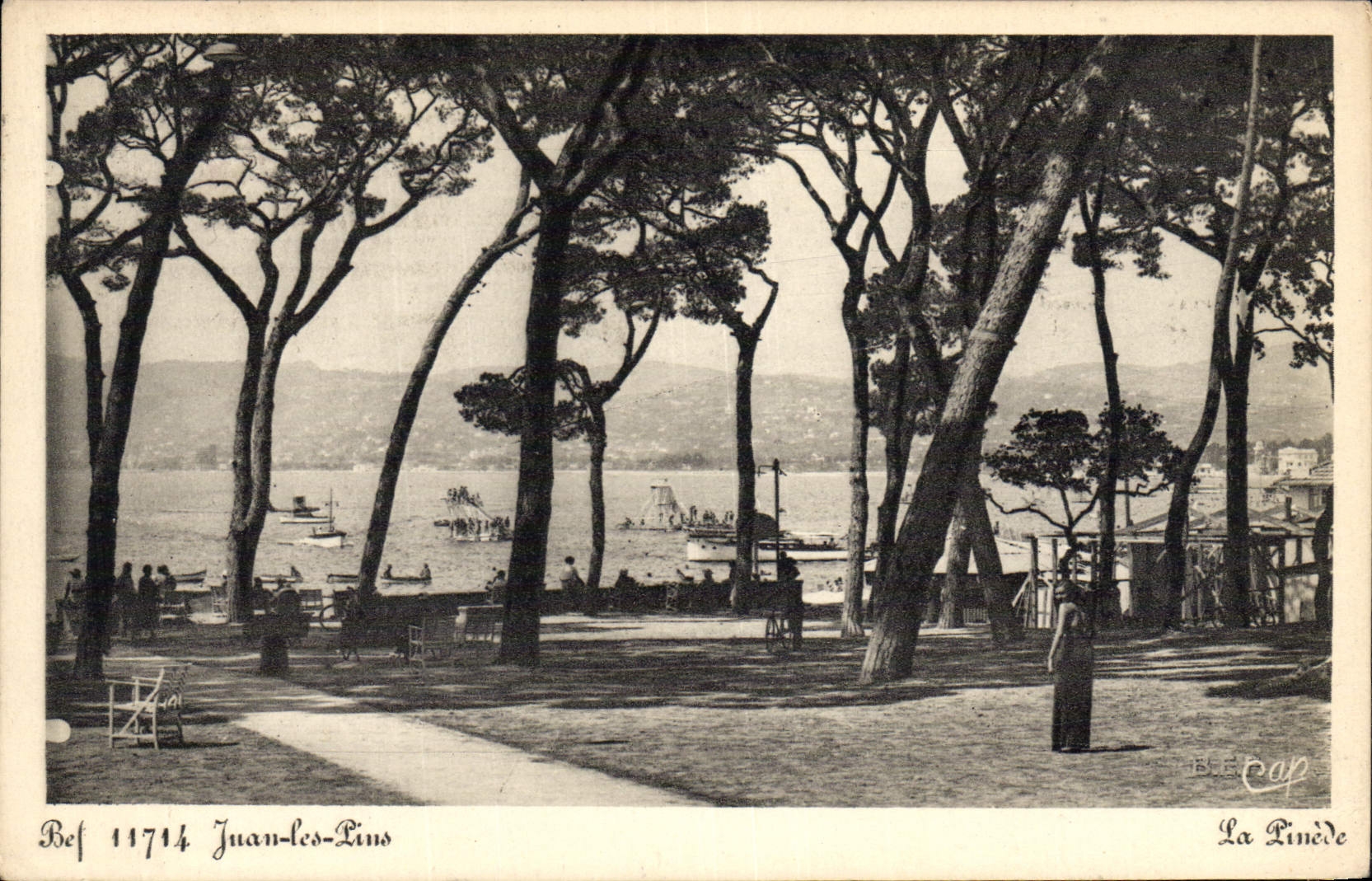 VINTAGE POSTCARD Juan Pines the pine forest