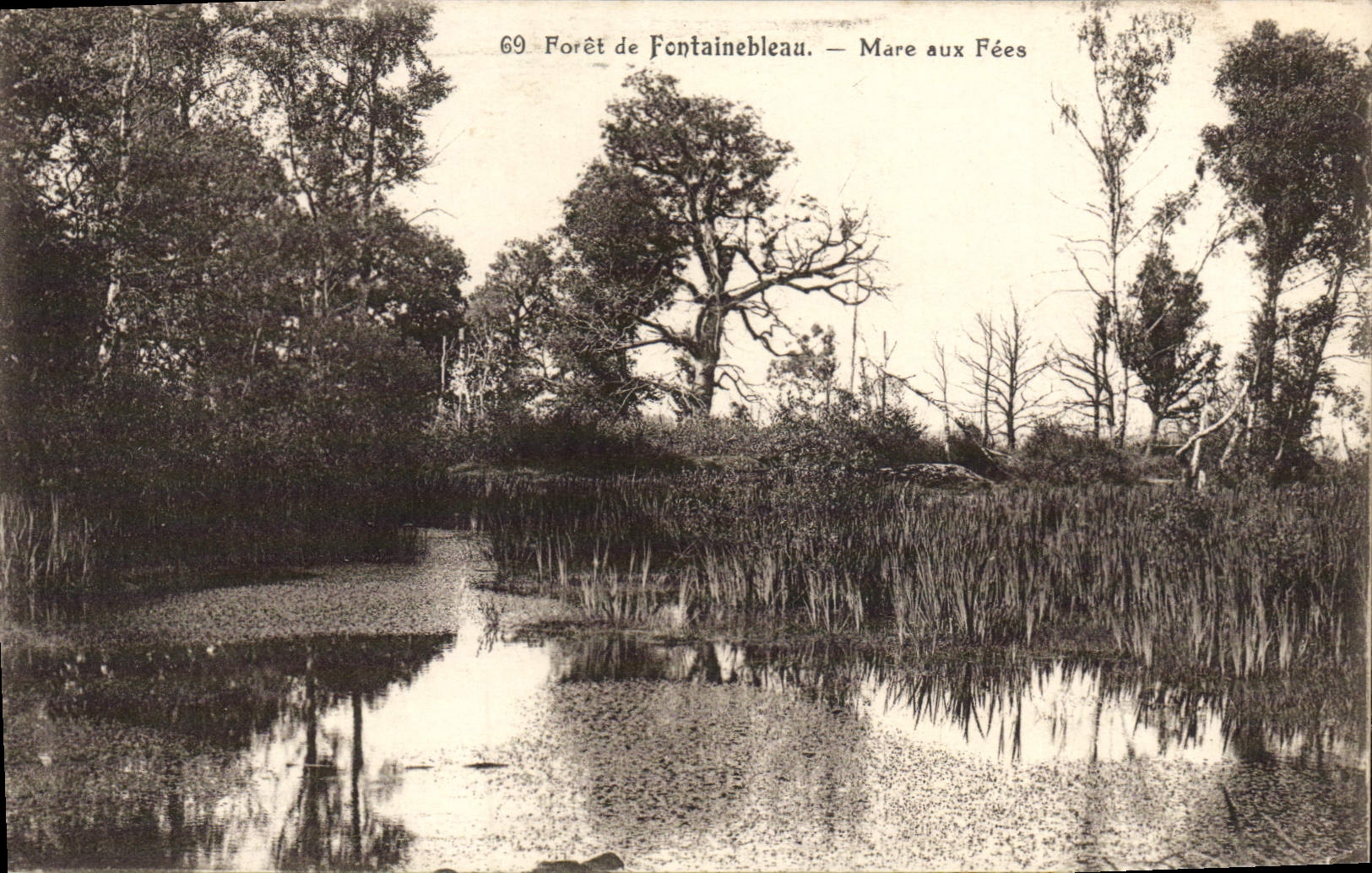 CPA Foret De Fontainebleau Mare Aux Fees