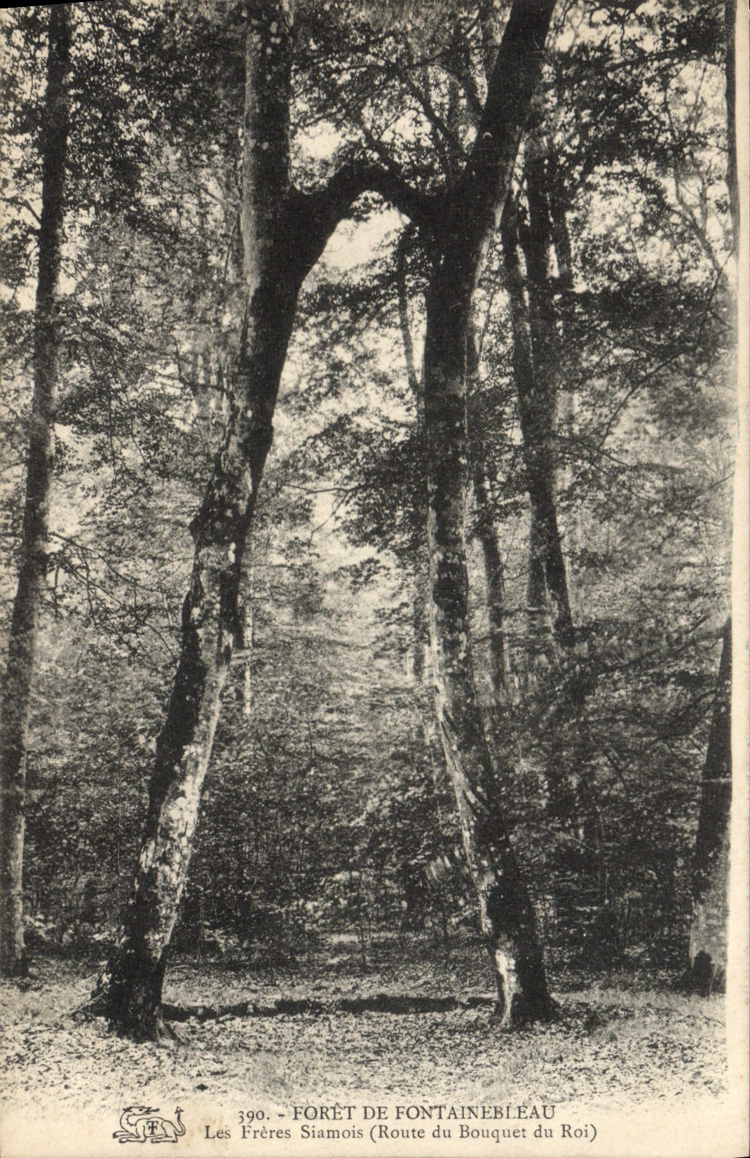 VINTAGE POSTCARD Drill De Fontainebleau Siamese Twins Road of the bouquet of the king