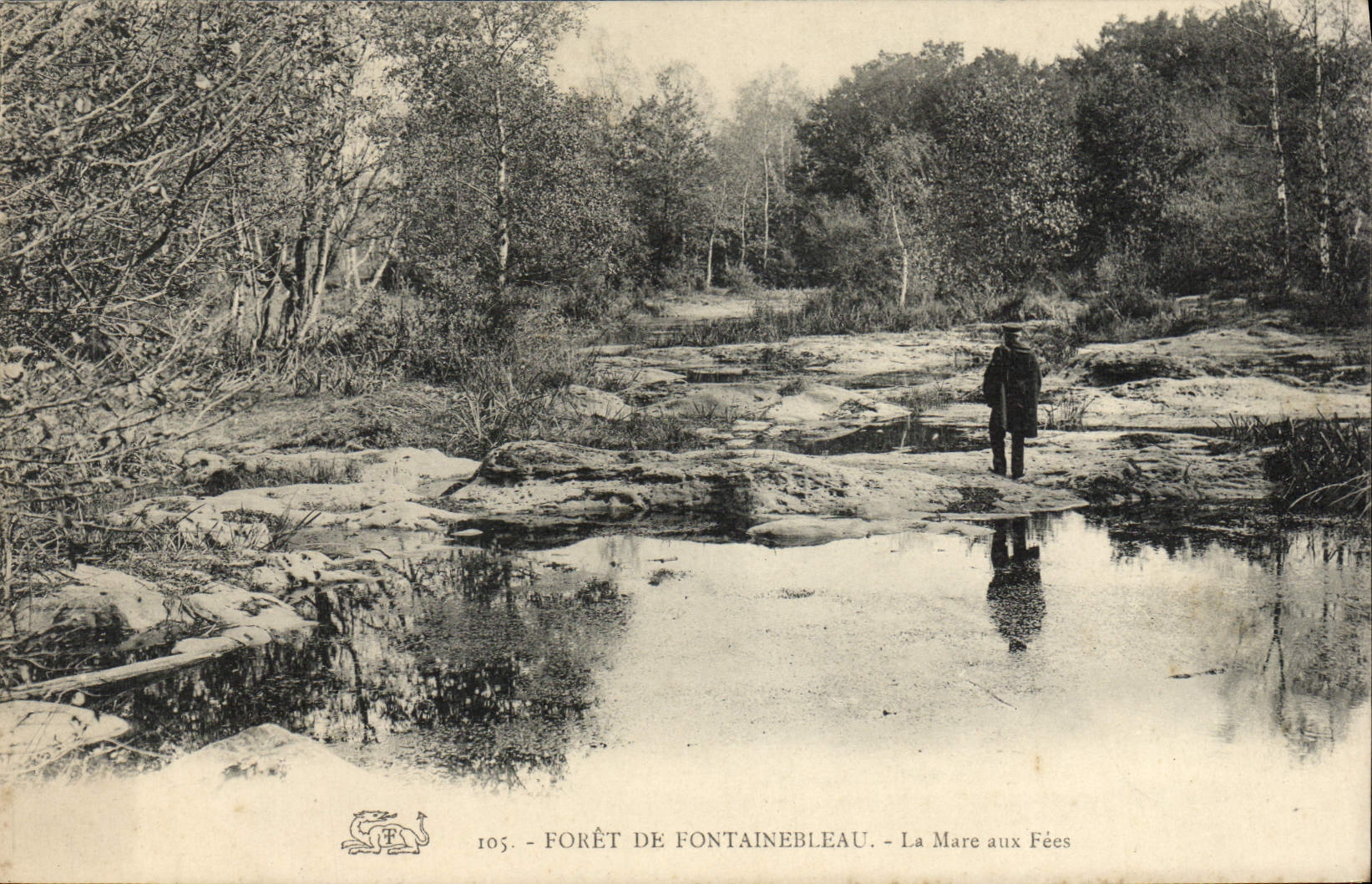 CPA Foret De Fontainebleau La Mare Aux Fees