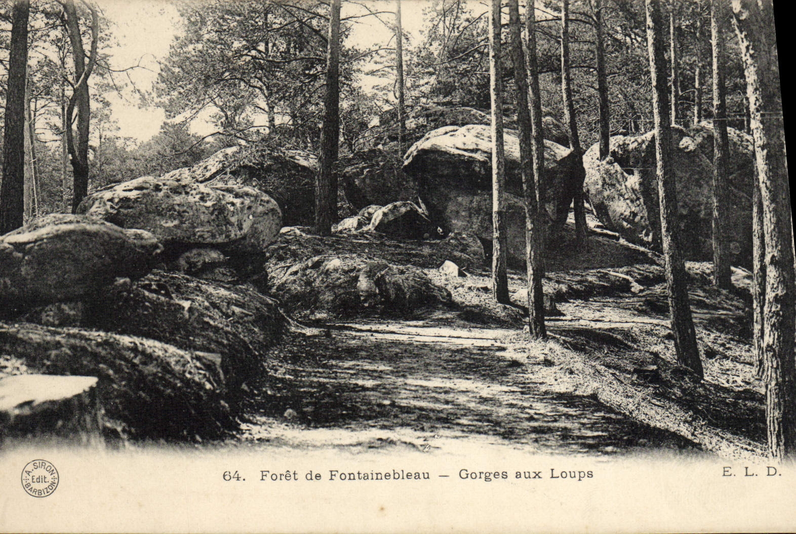 CPA Foret De Fontainebleau Gorges Aux Loups