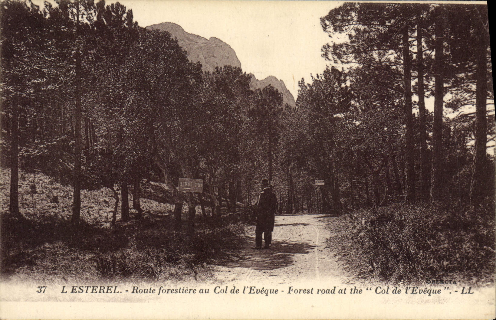 VINTAGE POSTCARD Esterel Forestiere Road With the Collar De I' Eveque