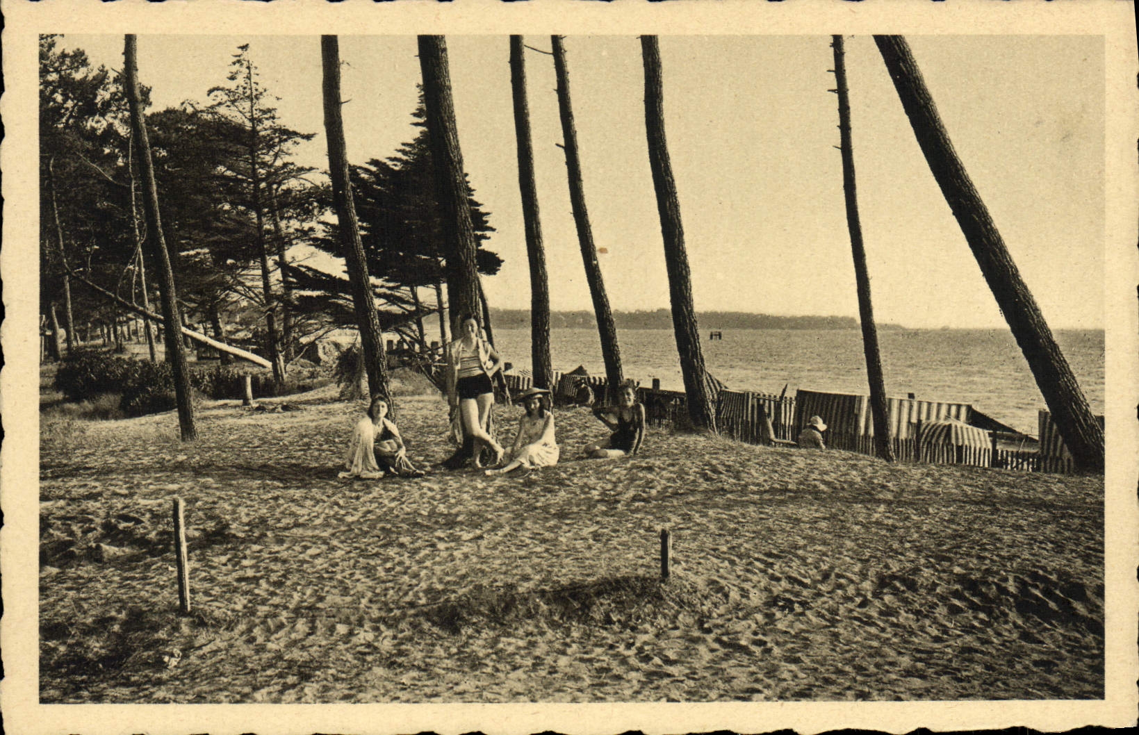 VINTAGE POSTCARD Holy Brevin Pines In the Pines After the Bath