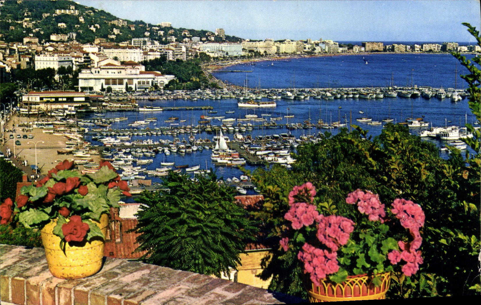 CPM La Cote D'Azur Cannes Le port et la Croisette