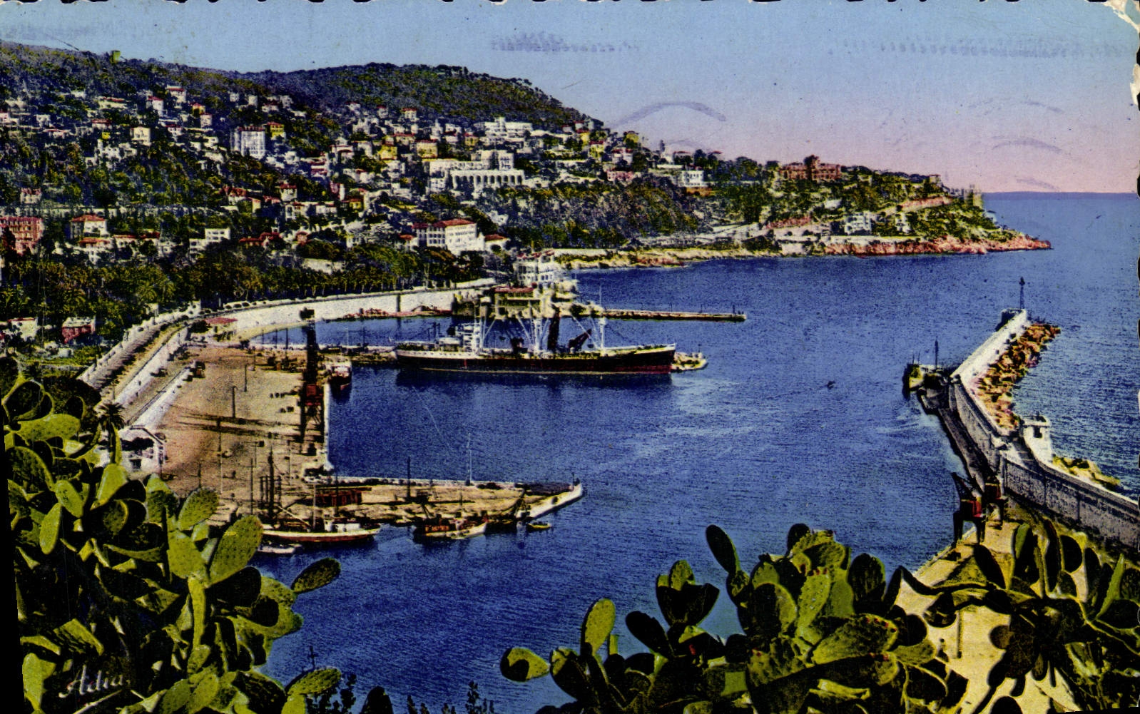 CPM Nice Le Port Et Le Mont Boron