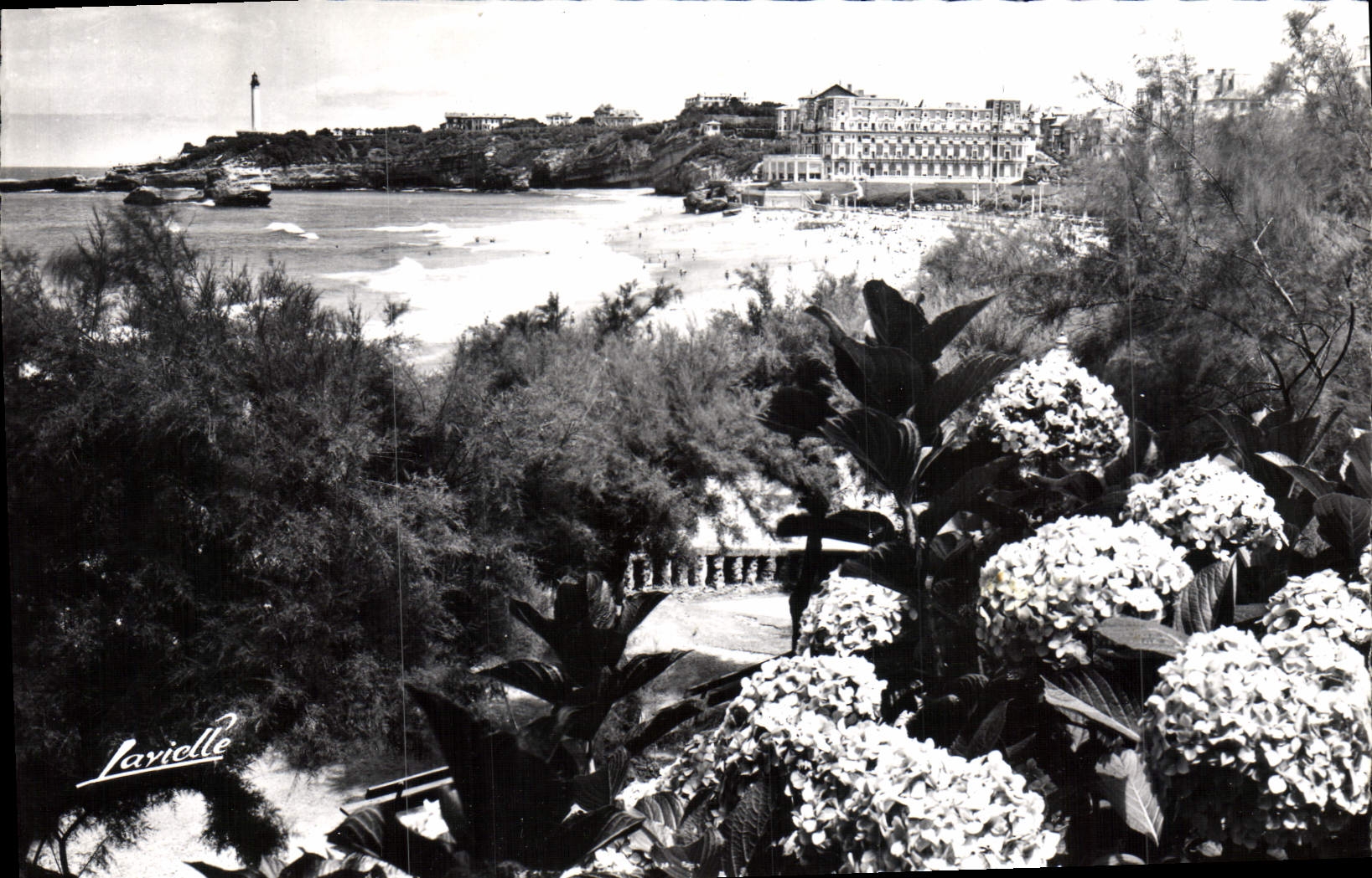CPM Biarritz Les hortensias et vue sur la grande plage L'hotel du palais et le phare