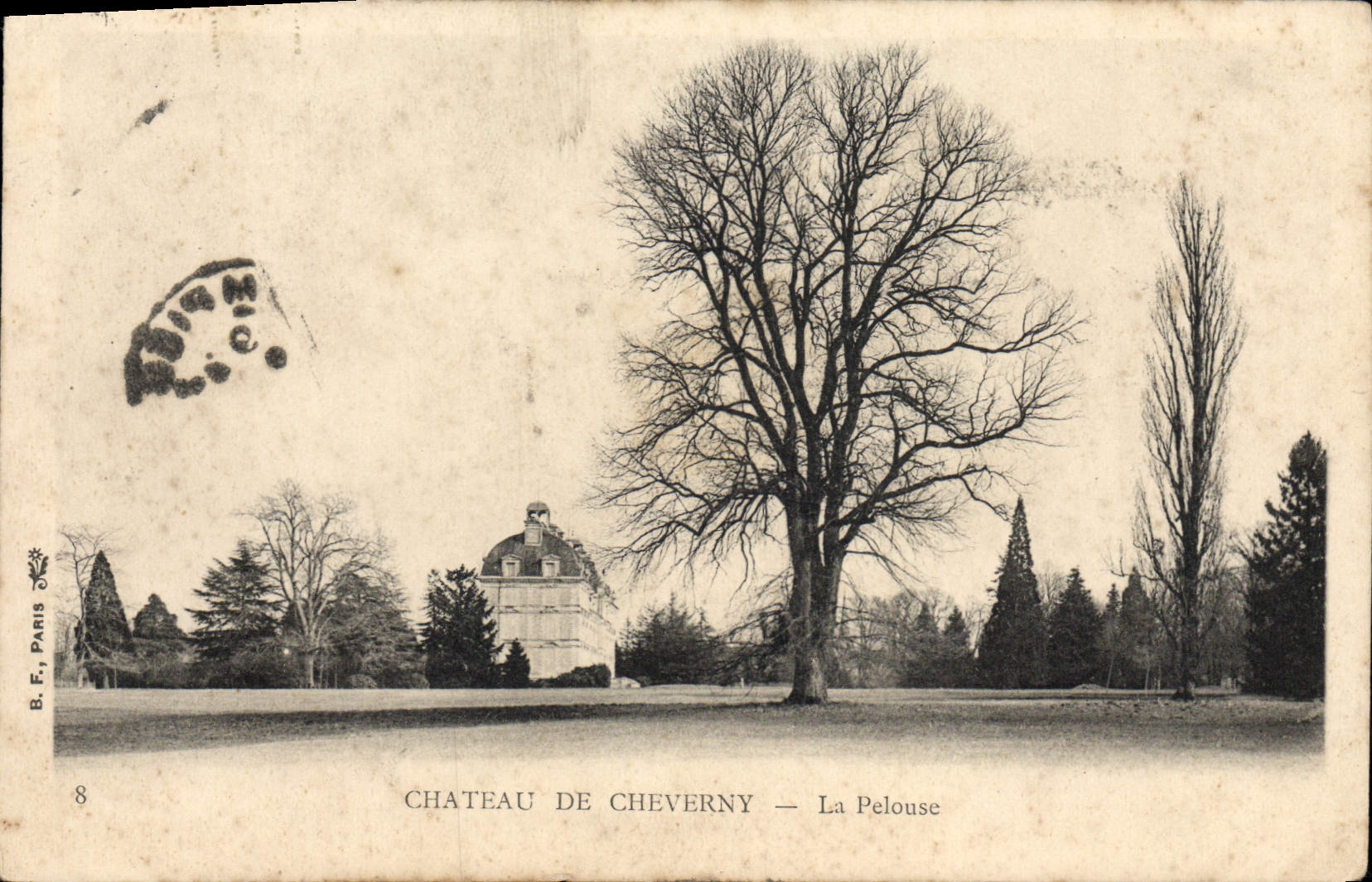 CPA Chateau De Cheverny La Pelouse