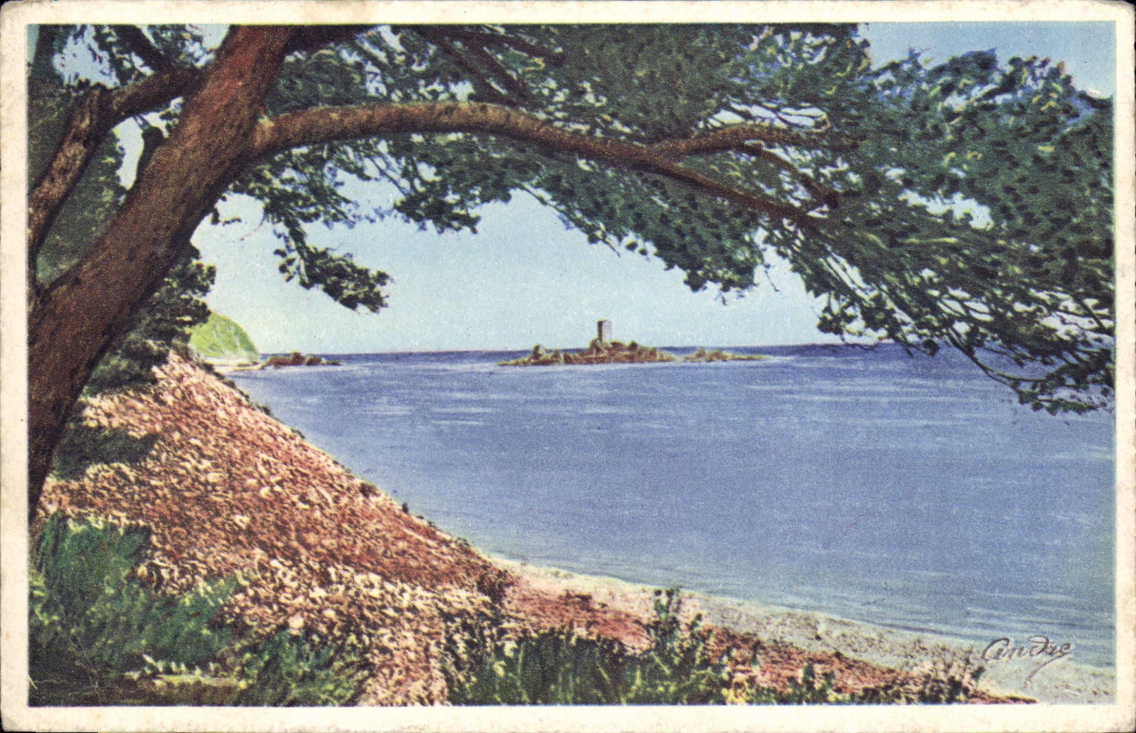 VINTAGE POSTCARD In Esterel St Raphael the Gold Island