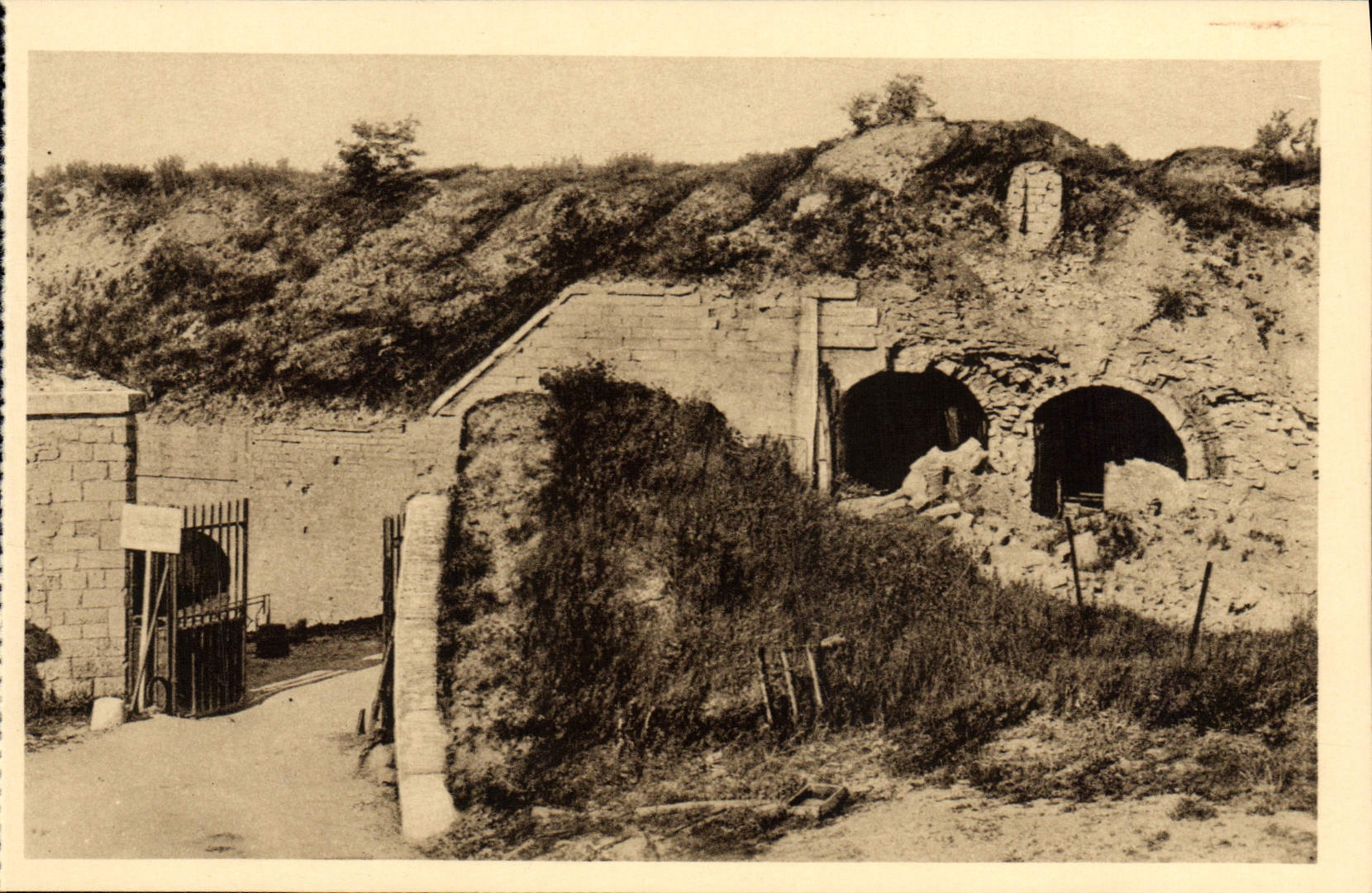 VINTAGE POSTCARD Extremely of Tavannes Militaria