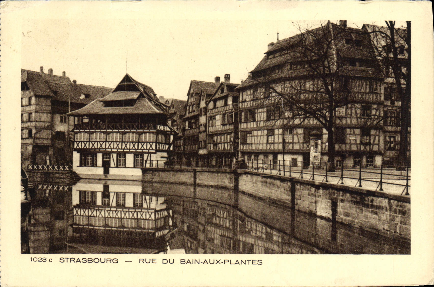 Calle de Estrasburgo de la POSTAL de la VENDIMIA del baño a las plantas