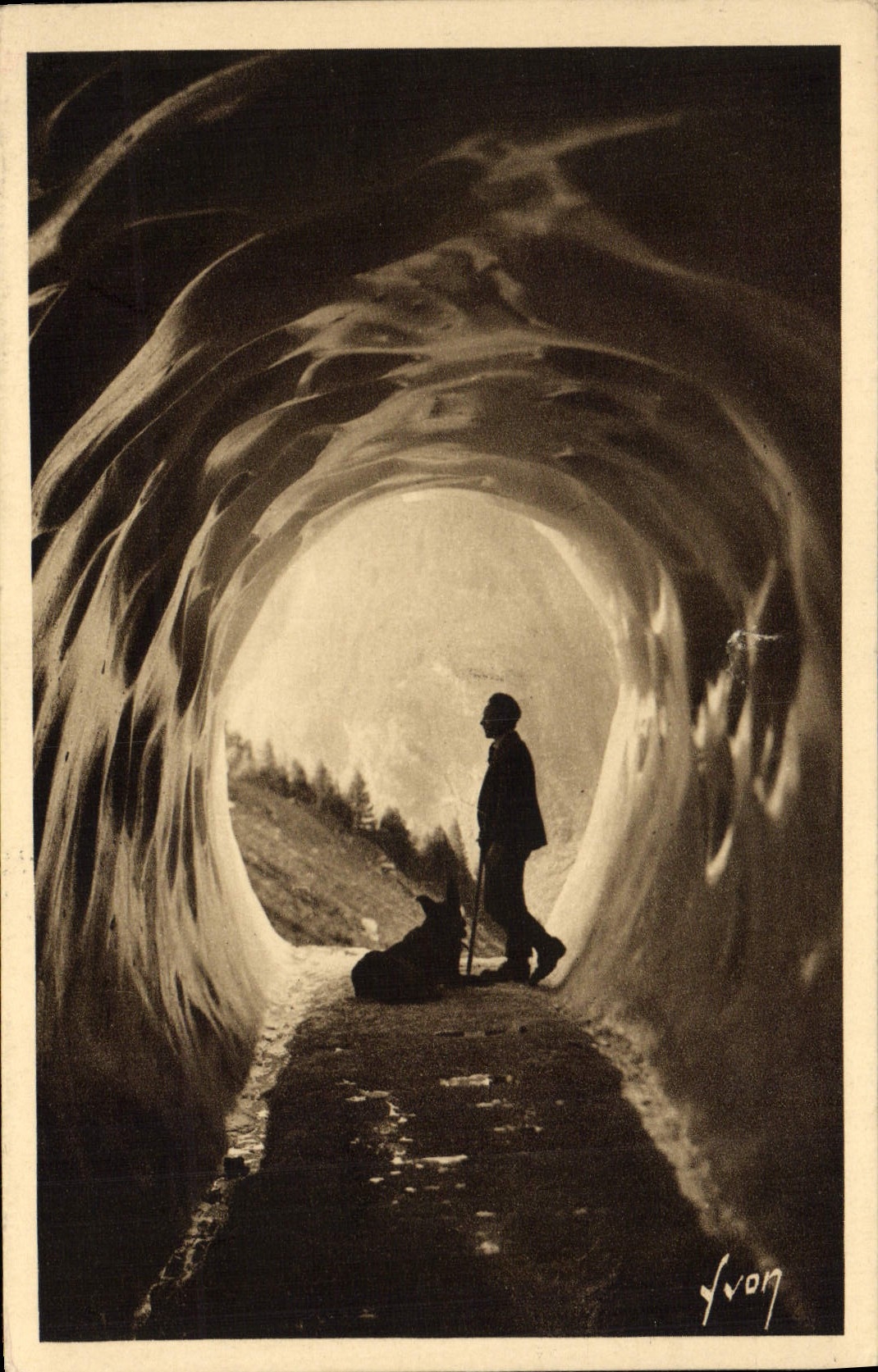 CPA Chamonix Mont Blanc Grotte du glacier des Bossons Chien 