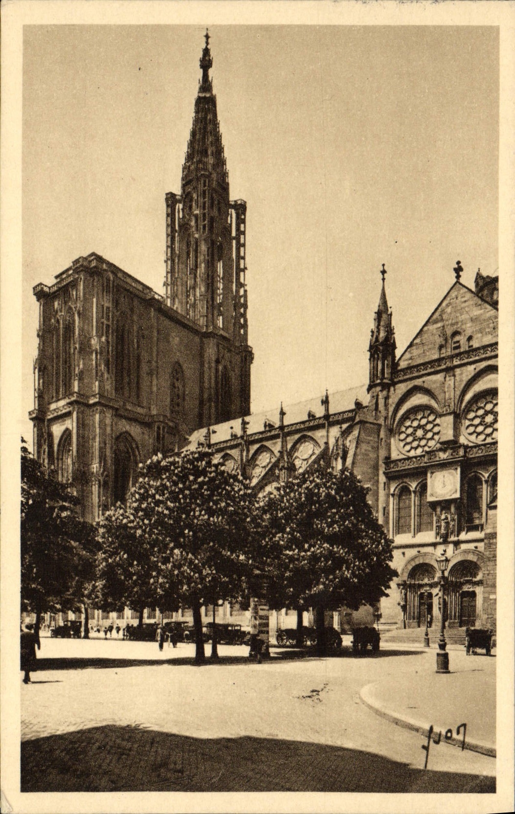 POSTAL Estrasburgo de la VENDIMIA junto de la catedral
