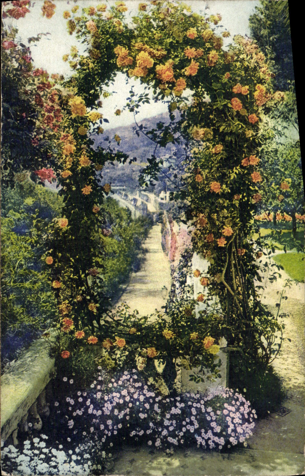 CPA Cote d'Azur Le jardin fleuri Fleurs