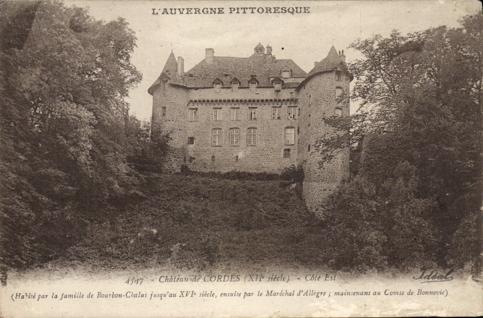 Castillo pintoresco de Auvergne de la POSTAL de la VENDIMIA de cuerdas