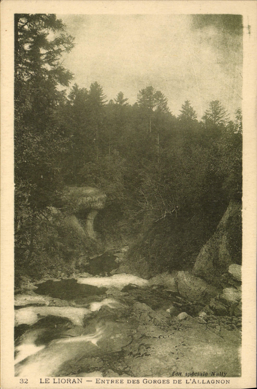 VINTAGE POSTCARD Lioran Entered Of the Falls Of Allagnon