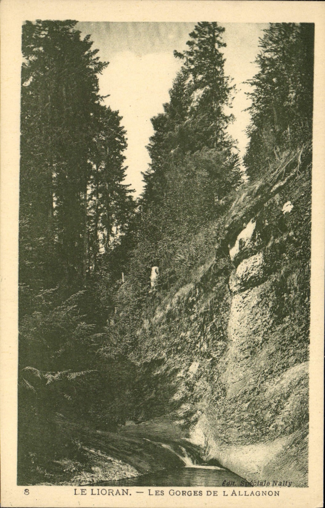 VINTAGE POSTCARD Lioran Falls Of Allagnon