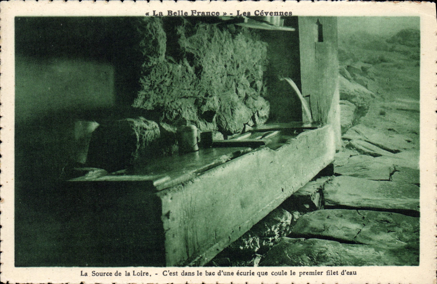 CPA La Source De La Loire Les Cevennes