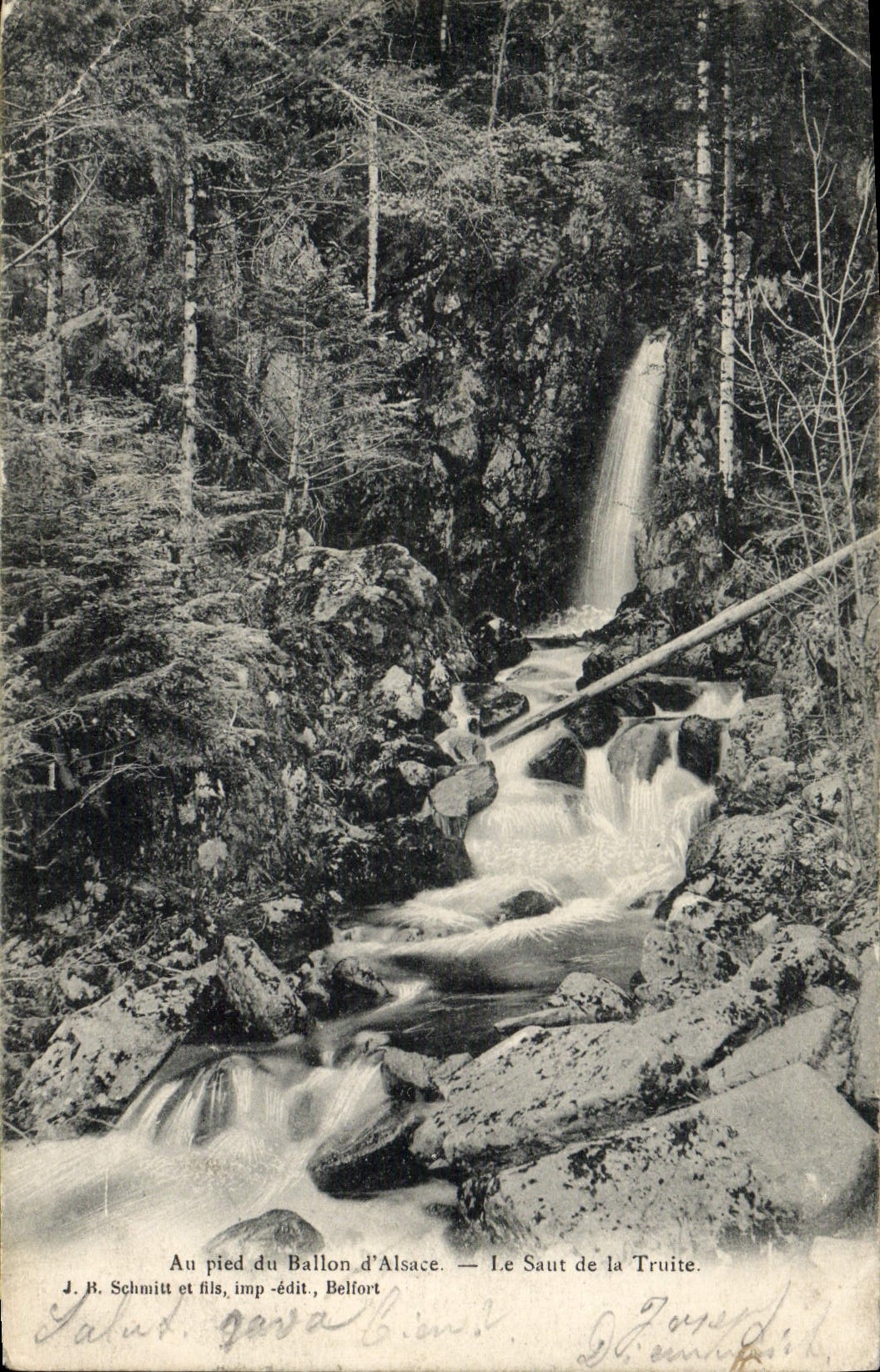 VINTAGE POSTCARD With the Foot Of the Balloon Of Alsace the Jump Of Trout