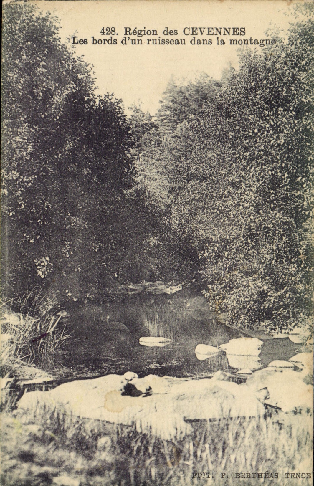 CPA Region Des Cevennes Les Bords D'Un Ruisseau Dans La Montagne