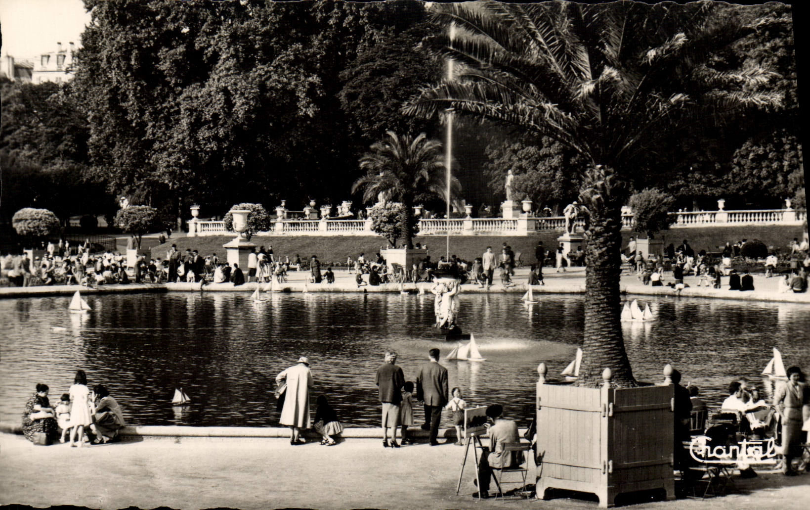 CPM Paris Bassin Dans Les Jardins Du Luxembourg