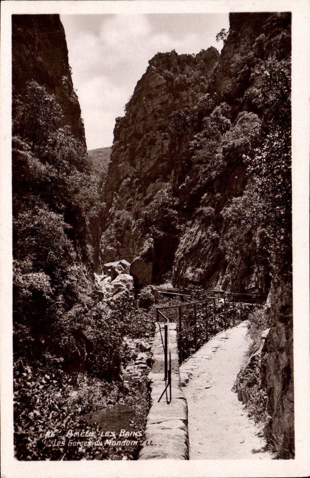 CPM Amelie Les Bains Les gorges du mondom