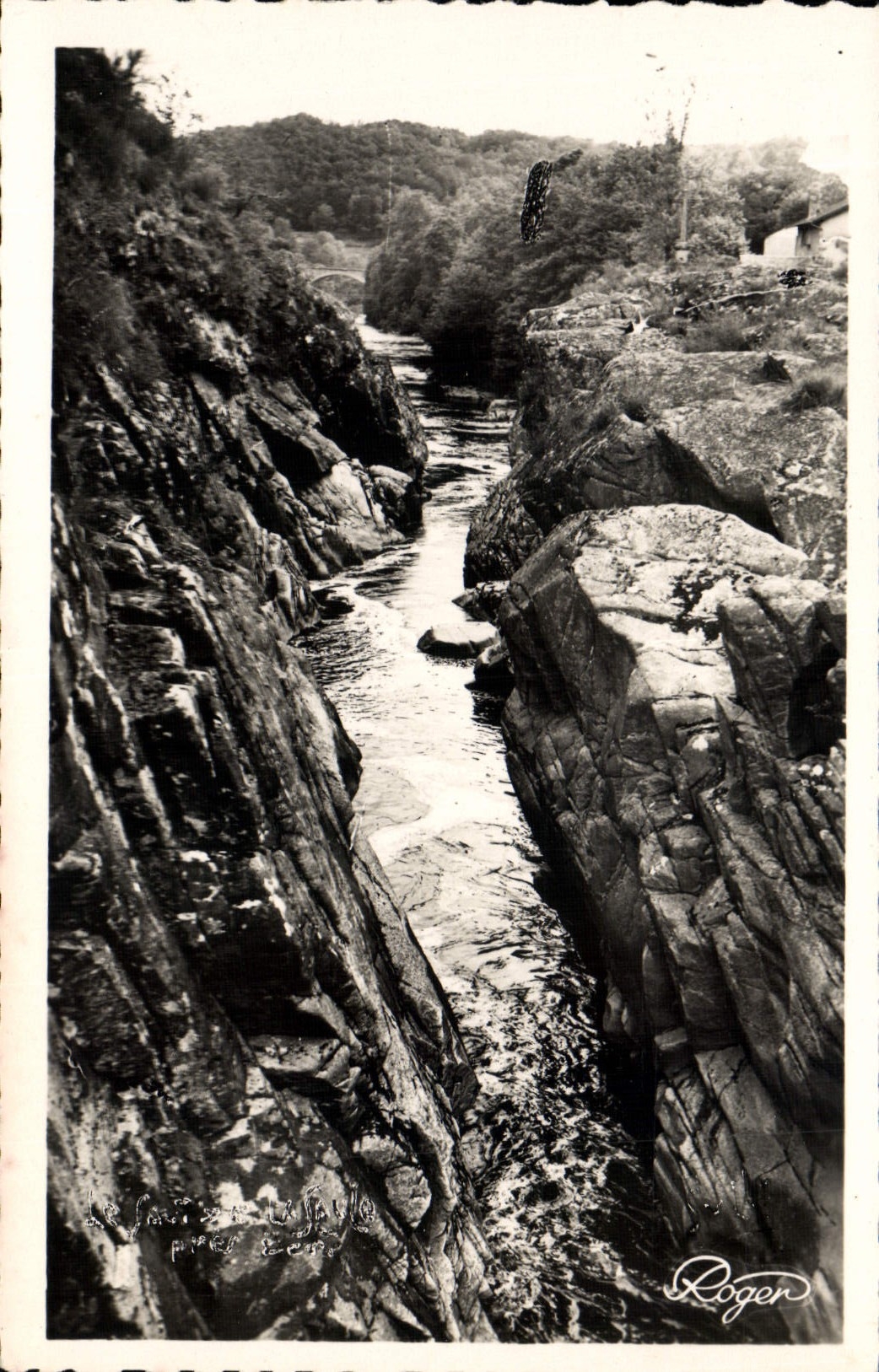 MODERN CARD Bort the Jump Of the Willow