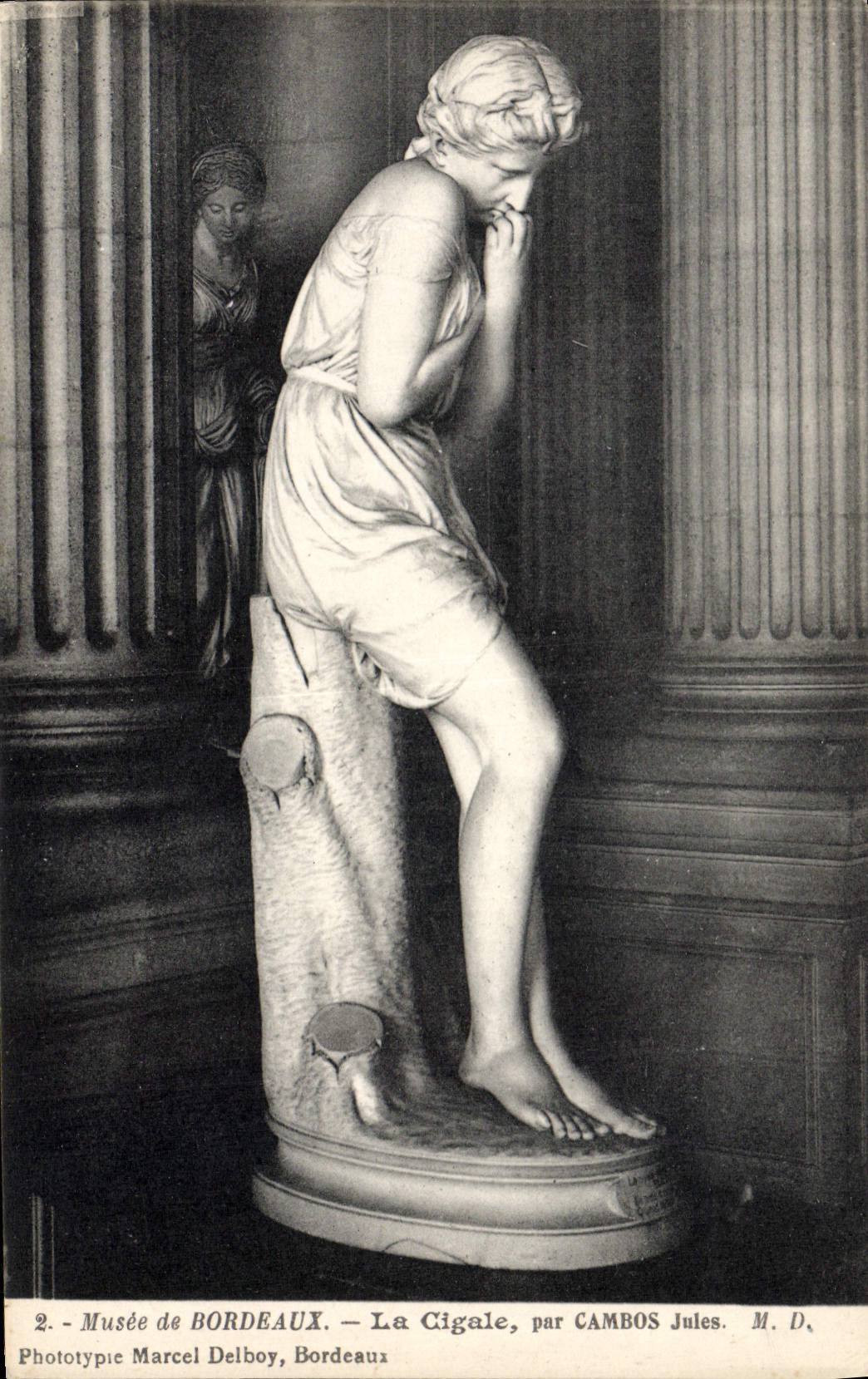 VINTAGE POSTCARD Museum Of Bordeaux the Cicada