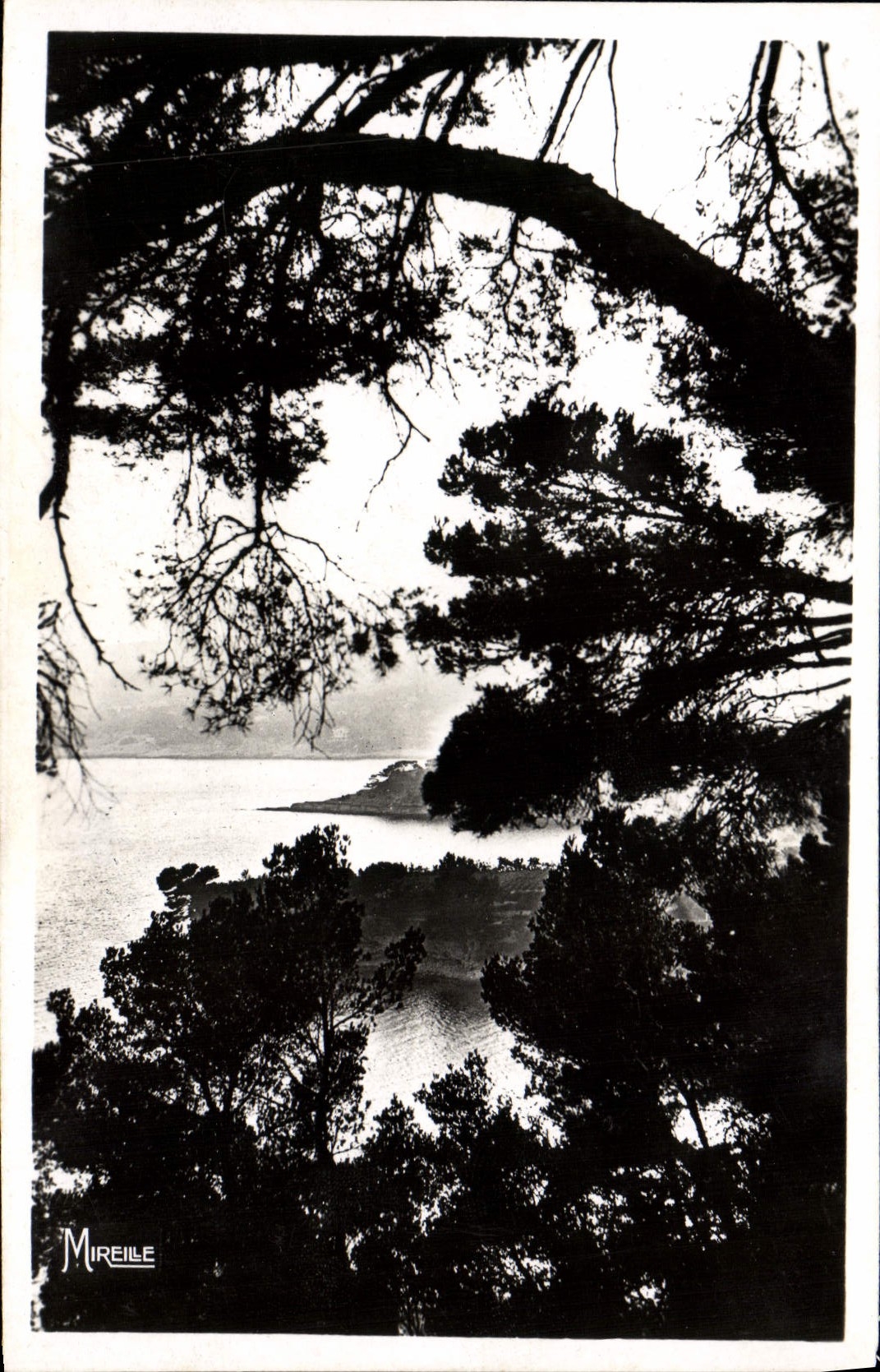 MODERN CARD the Dimension Of Provence Cassis sur Mer Last sun rays on bay of the terrace of Revestel