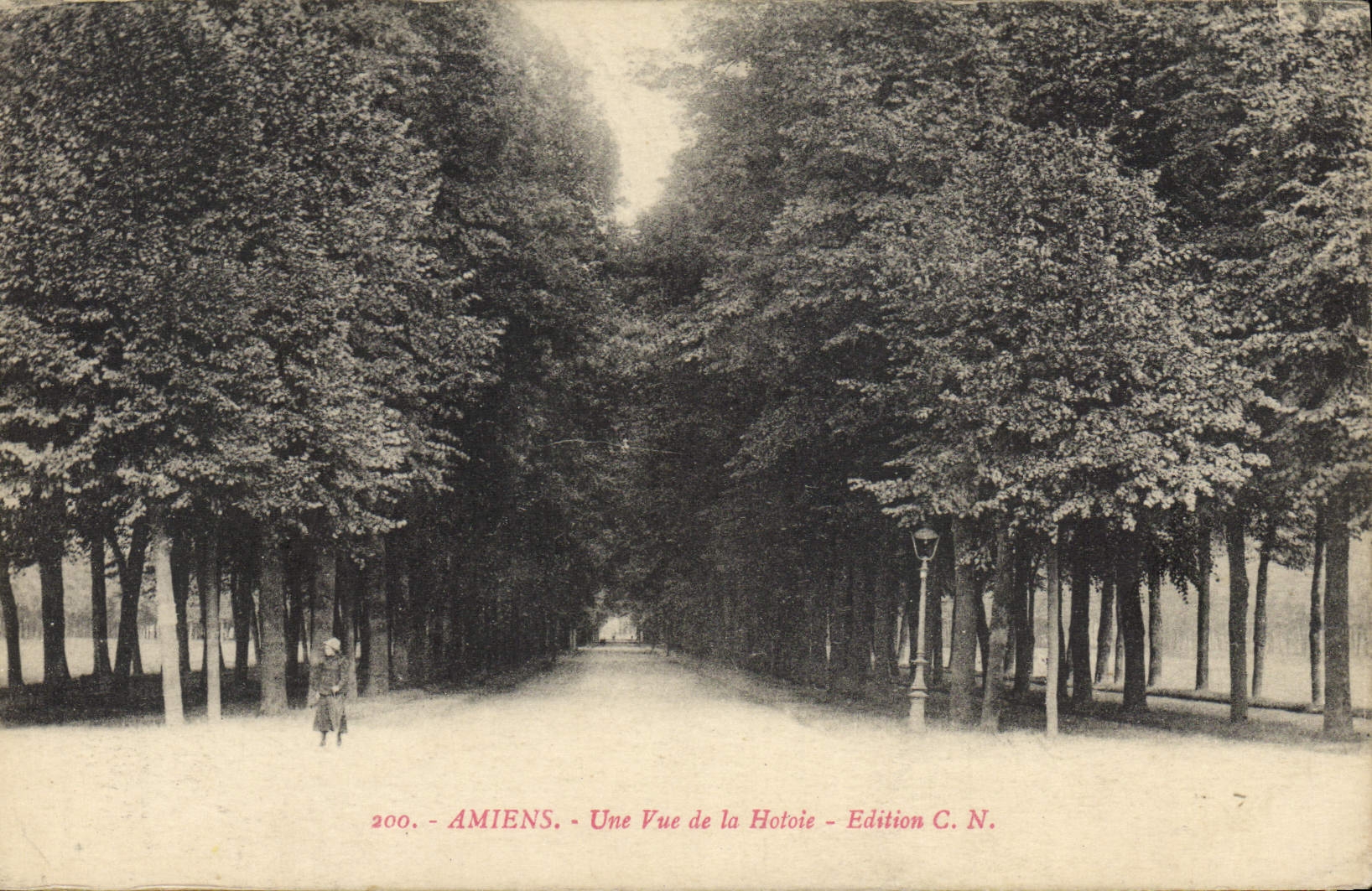 CPA Amiens Une Vue De La Hotoie 