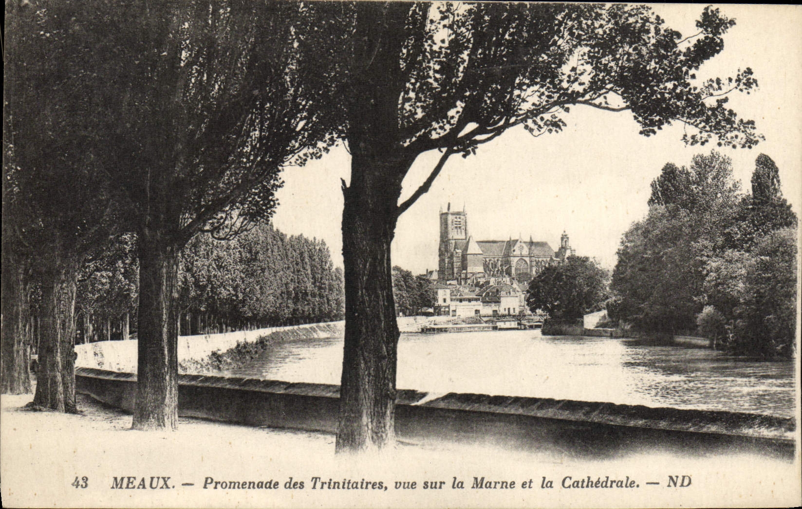 VINTAGE POSTCARD Meaux Walk of Trinitaires Seen on the Marne and the Cathedral
