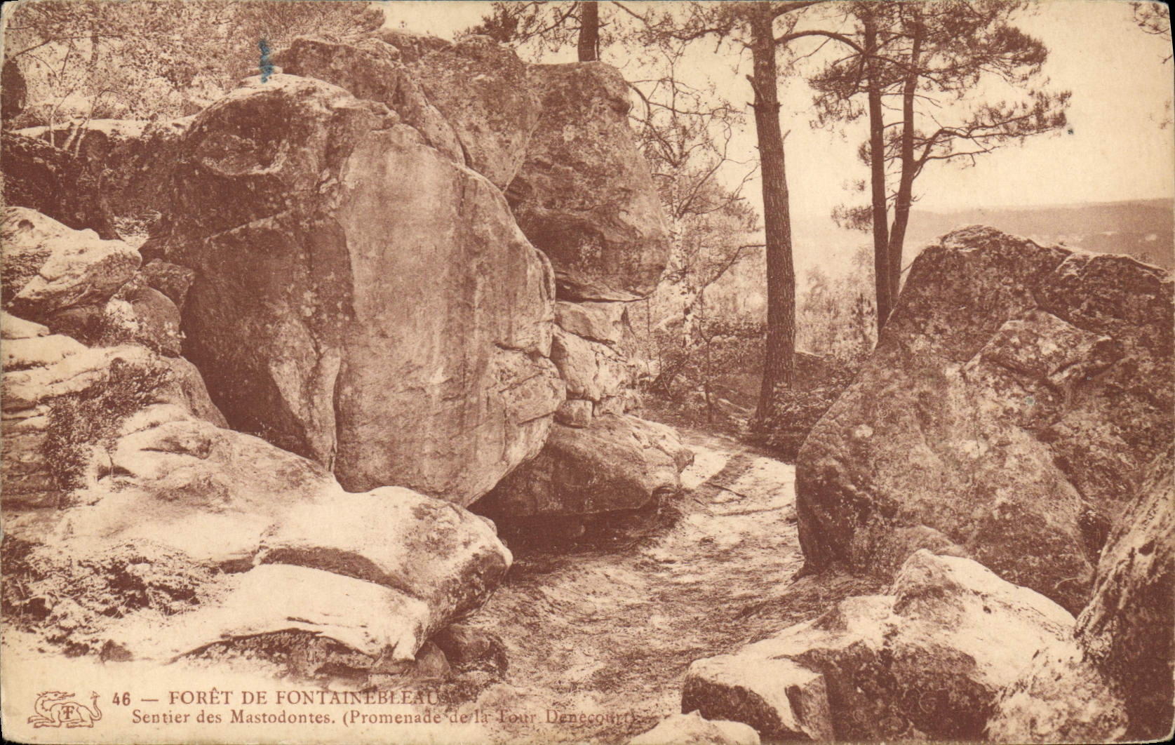 VINTAGE POSTCARD Drill of Fontainebleau Path of Mastodons Walk of the Denecourt Tower