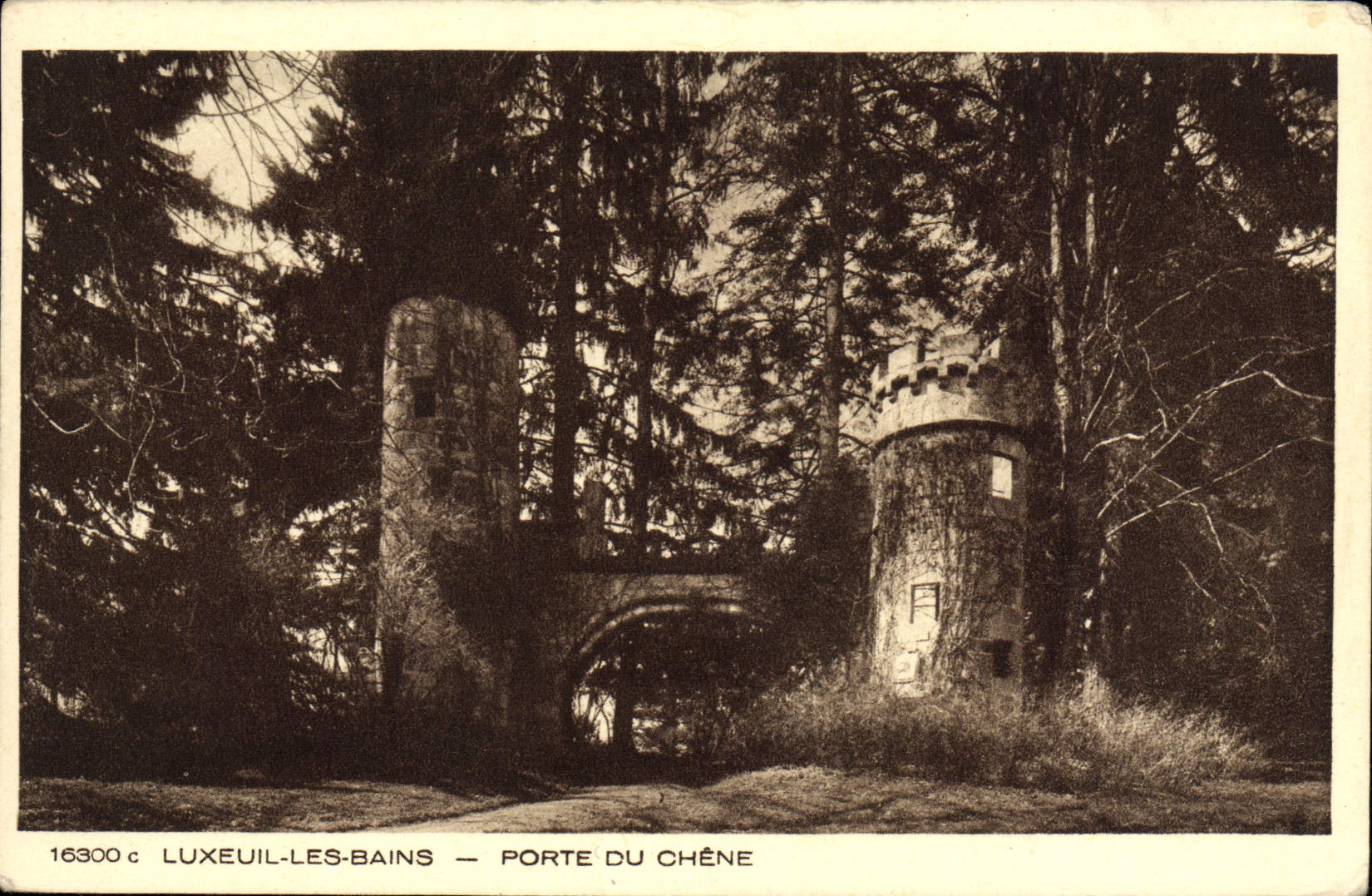 CPA Luxeuil Les Bains Porte Du Chene