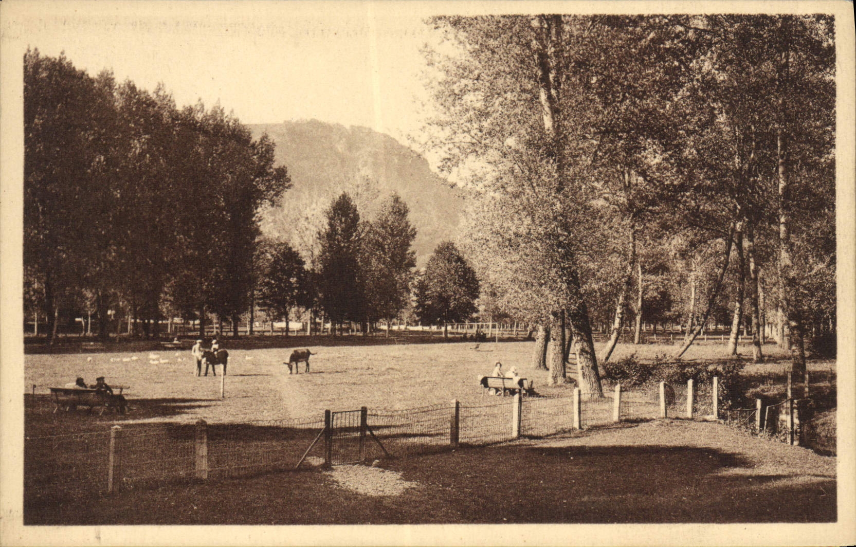 La POSTAL Vic de la VENDIMIA encendido Cere una esquina del parque