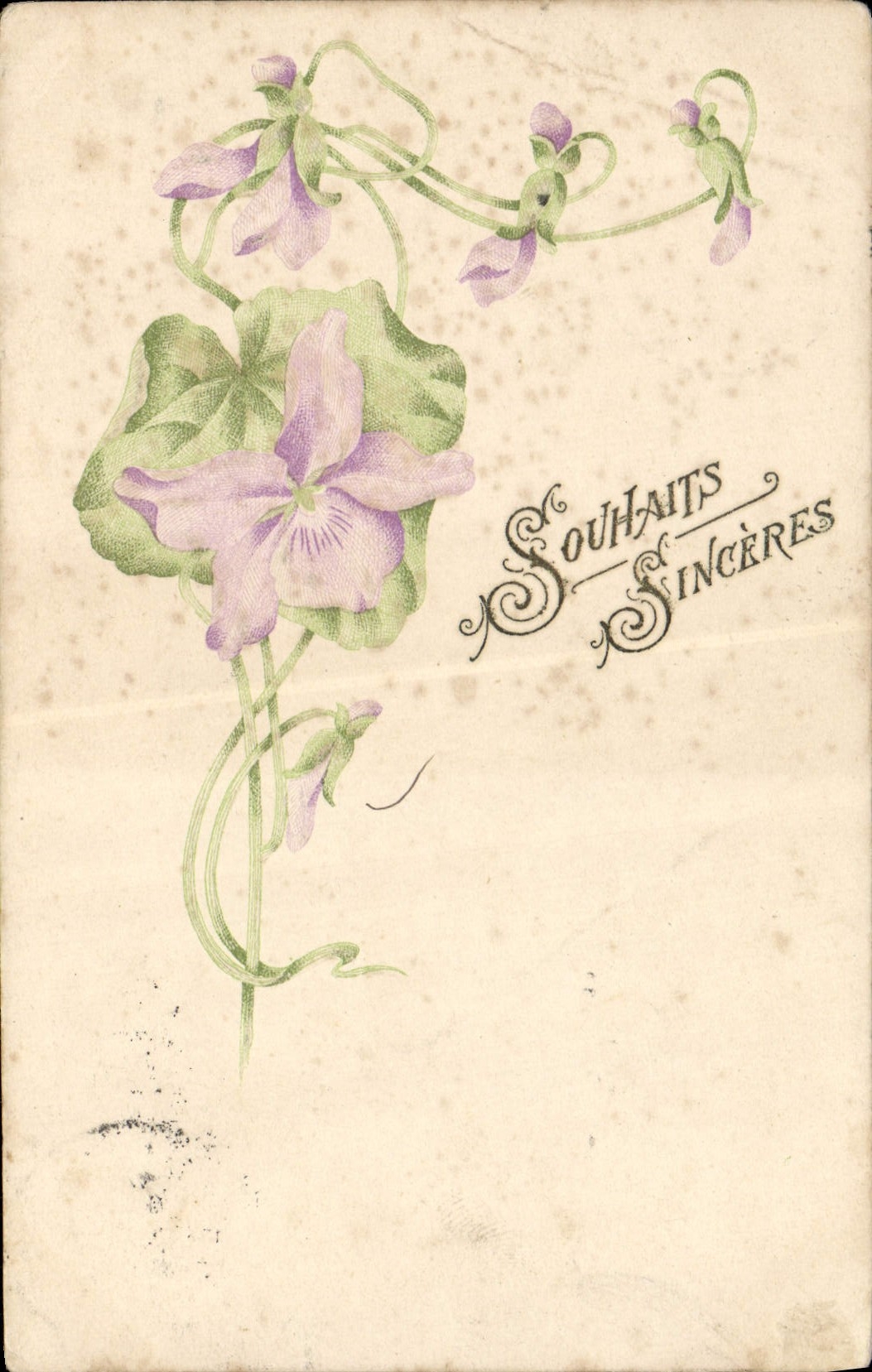 VINTAGE POSTCARD Sincere Wishes Flowers