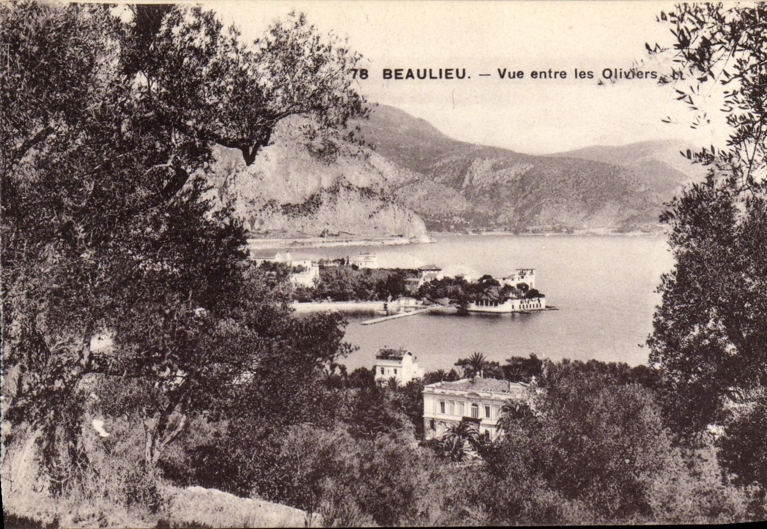 CPA Beaulieu Vue Entre les Olivers
