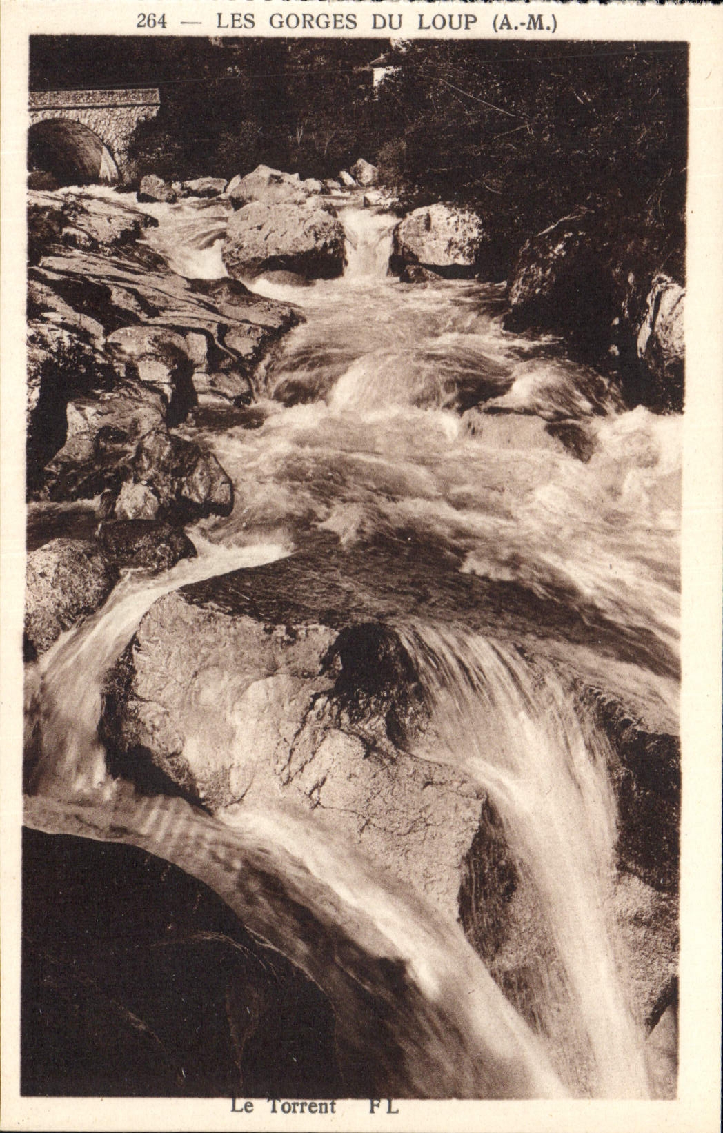 VINTAGE POSTCARD Gourdon Falls Of the Wolf the torrent